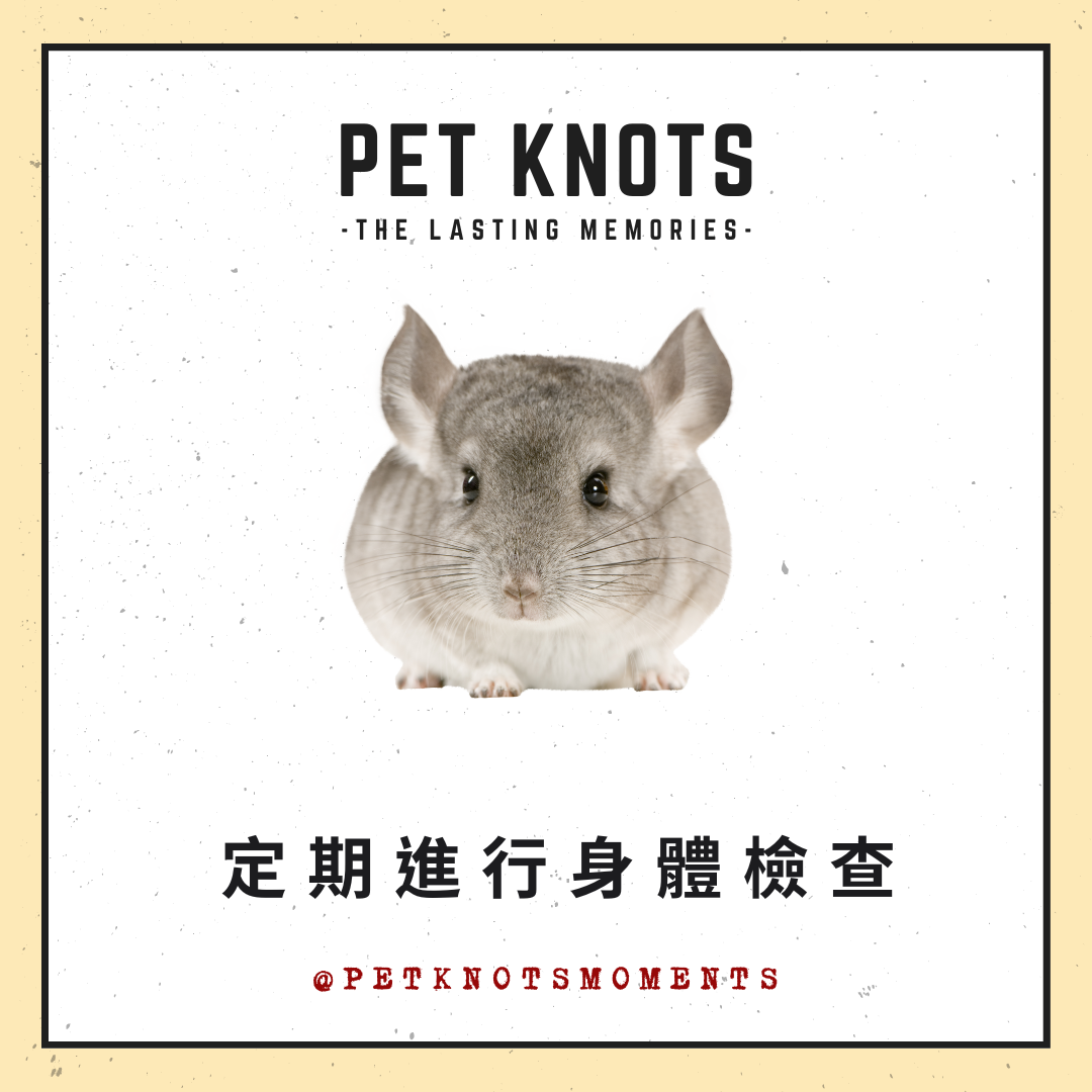 Pet-Knots-NGO-Moments_寵諾時刻_寵物雜誌_年老龍貓護理小知識06