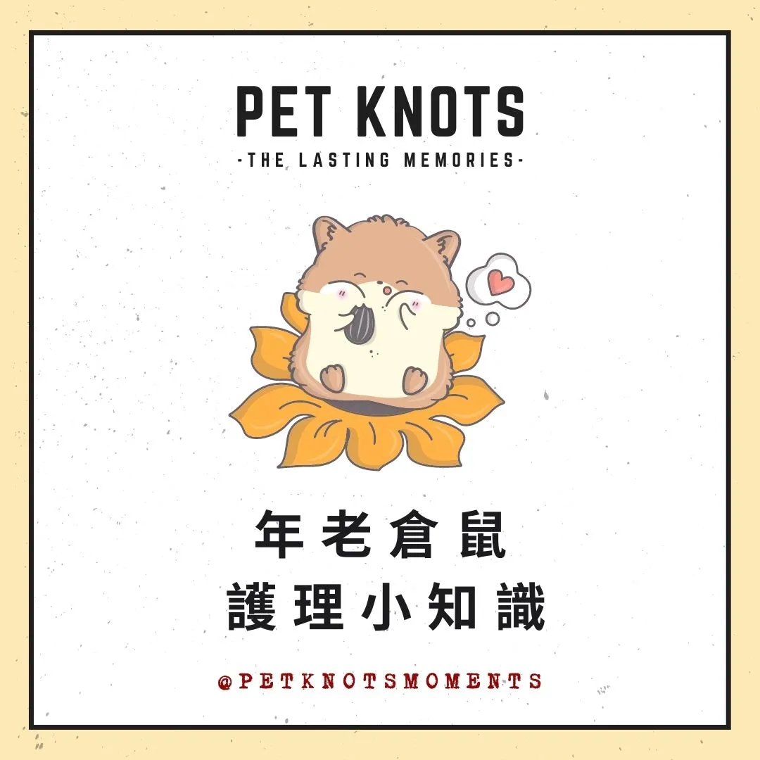 Pet-Knots-NGO-Moments_寵諾時刻_年老倉鼠護理小知識